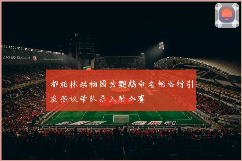 都柏林动物园为鹦鹉命名帕洛特引发热议带队杀入附加赛