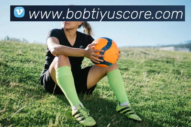 BOB体育平台生态图